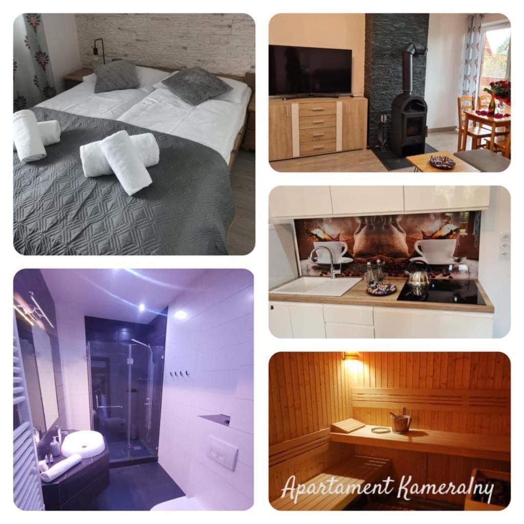 Apartament Kameralny Apartment Закопане Екстериор снимка